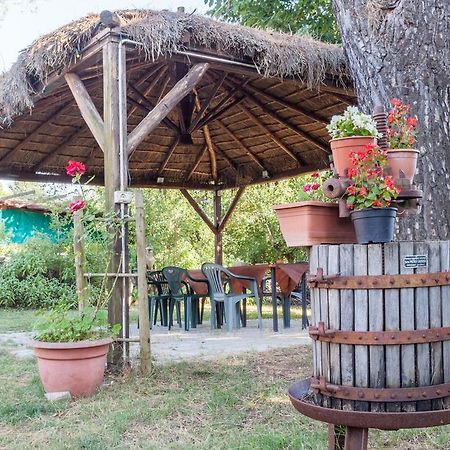 Agriturismo Artisti Del Cavallo Arezzo Dış mekan fotoğraf