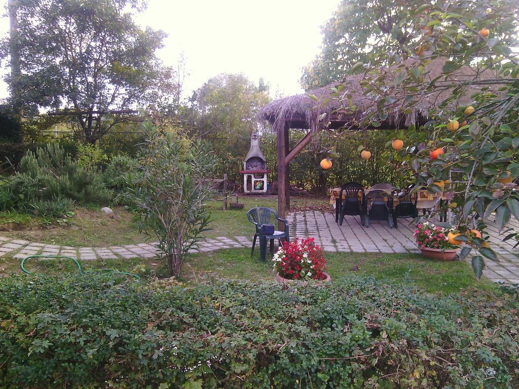 Agriturismo Artisti Del Cavallo Arezzo Dış mekan fotoğraf