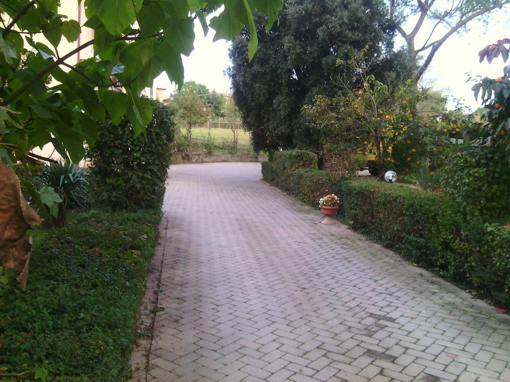 Agriturismo Artisti Del Cavallo Arezzo Dış mekan fotoğraf