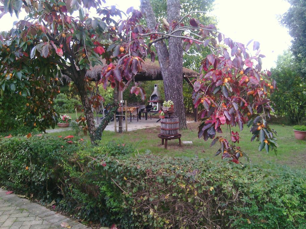 Agriturismo Artisti Del Cavallo Arezzo Dış mekan fotoğraf