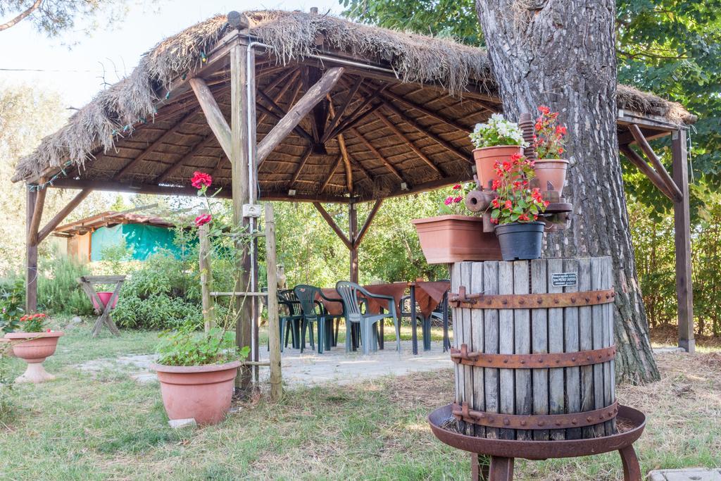 Agriturismo Artisti Del Cavallo Arezzo Dış mekan fotoğraf