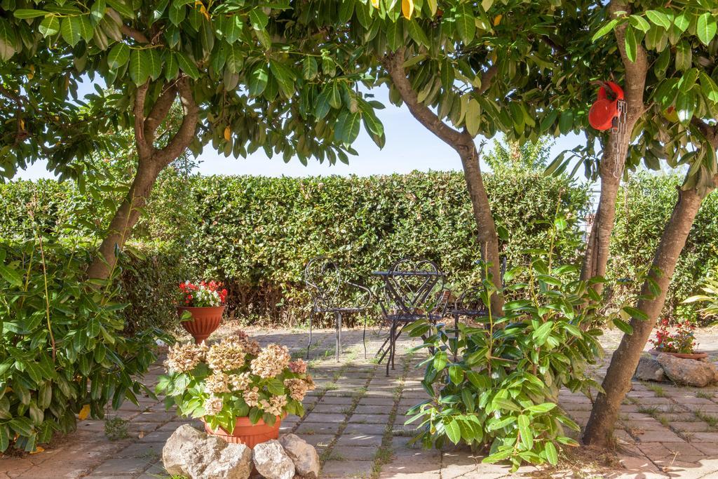 Agriturismo Artisti Del Cavallo Arezzo Dış mekan fotoğraf